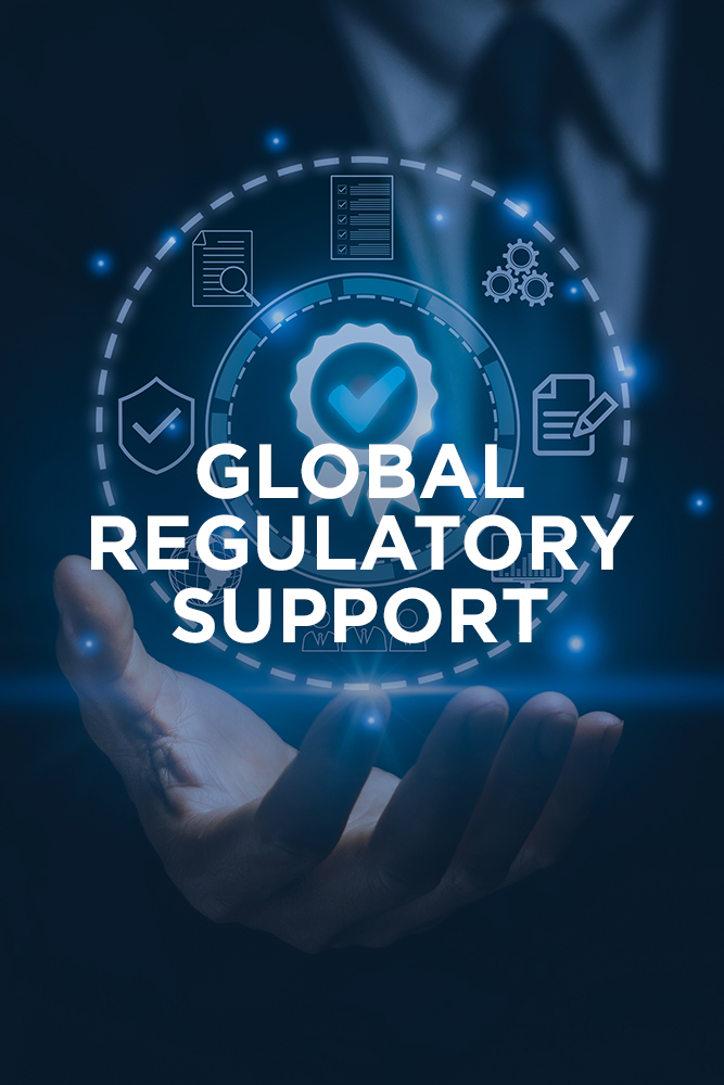 Global-Regulatory-Support