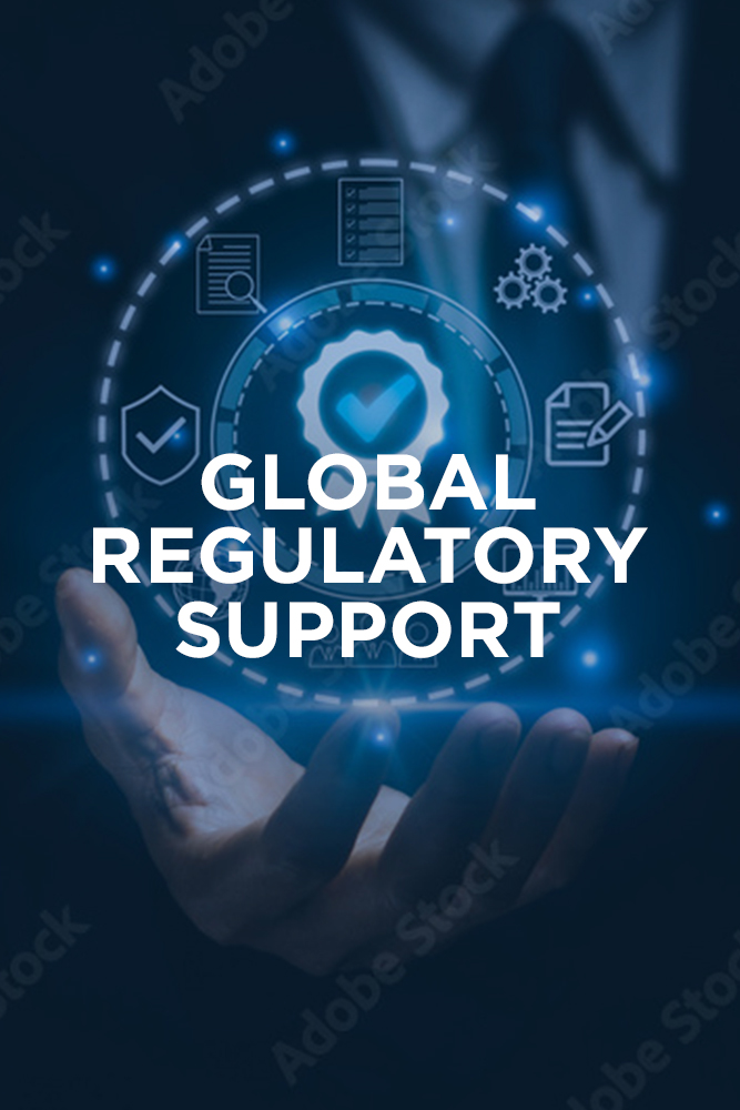 Global Regulatory Support